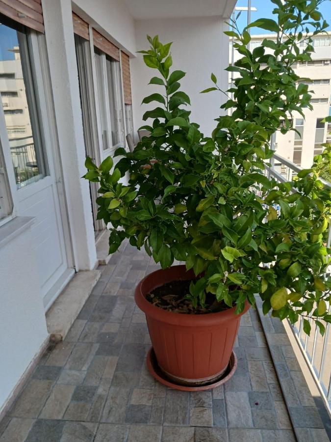 Room With Private Toilet And Terrace In City Center In Shared Apartment Split Exteriör bild